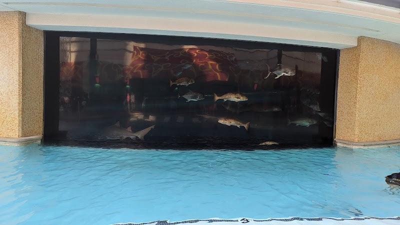 Photo of H20 Bar at the Tank