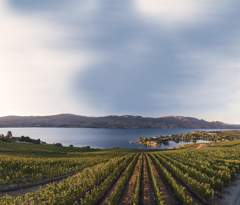 Photo of Quails' Gate Winery