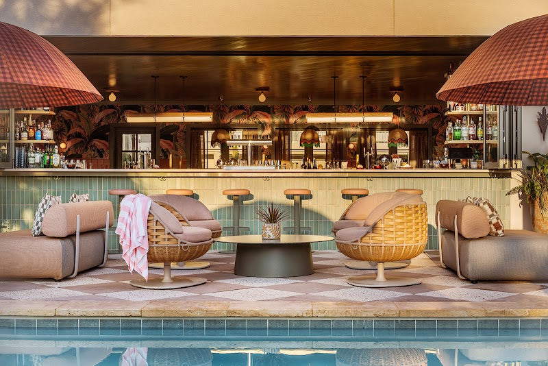 Photo of Little Palm