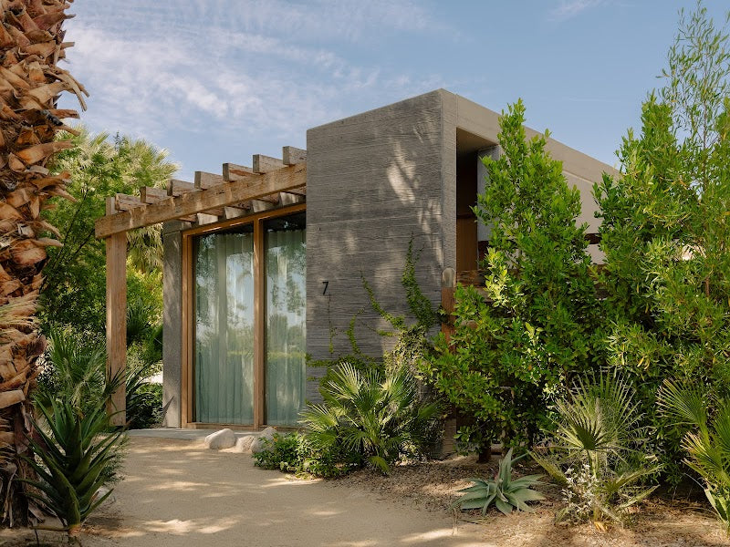 Photo of Two Bunch Palms