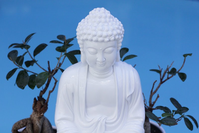 Photo of Whistler Lotus Spa & Lounge at Summit Lodge Boutique Hotel