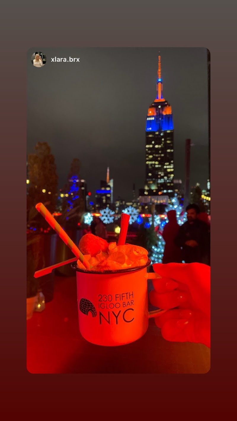 Photo of 230 Fifth Rooftop Bar