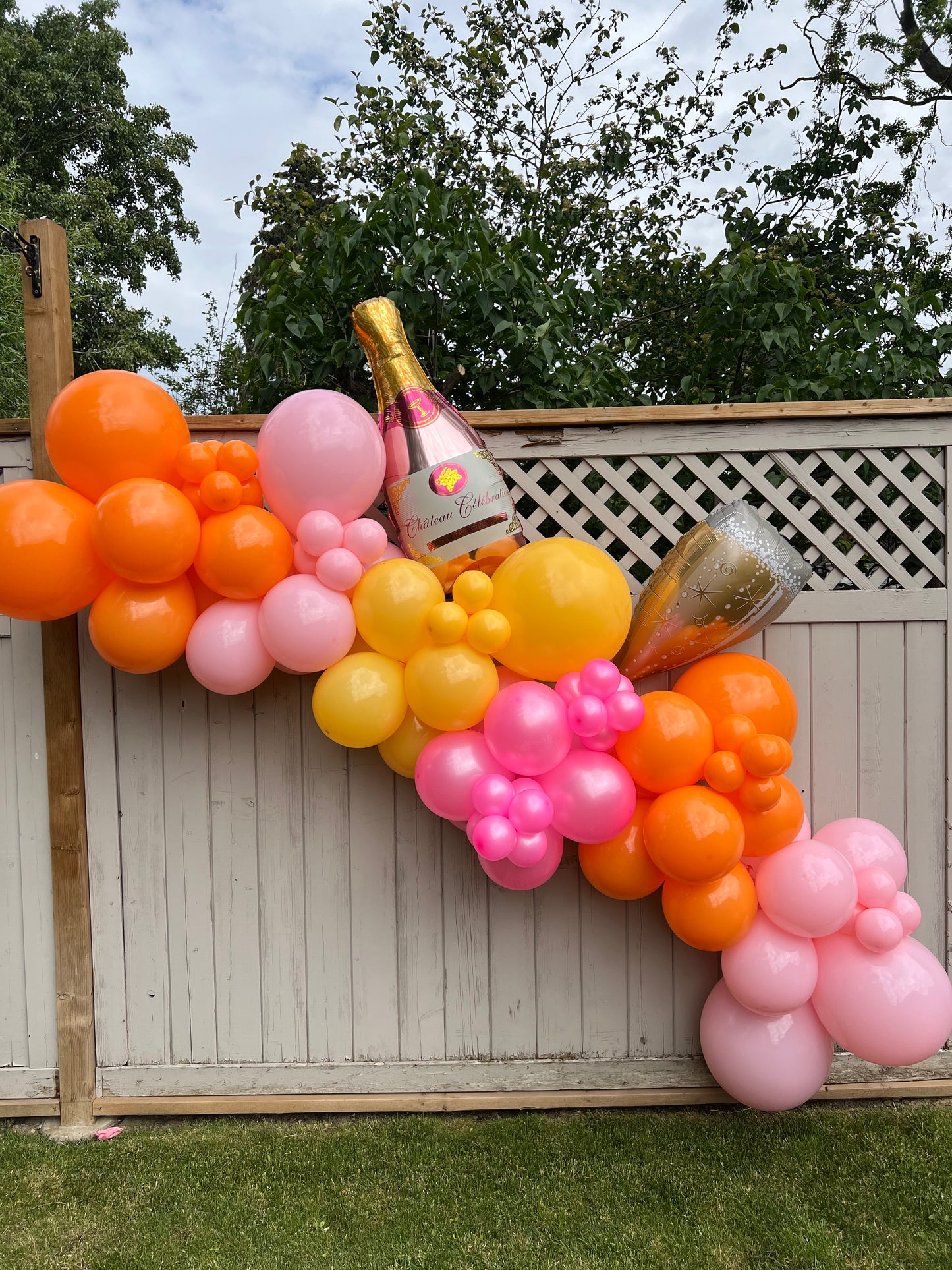 Tropical Spritz Balloon Arch Kit